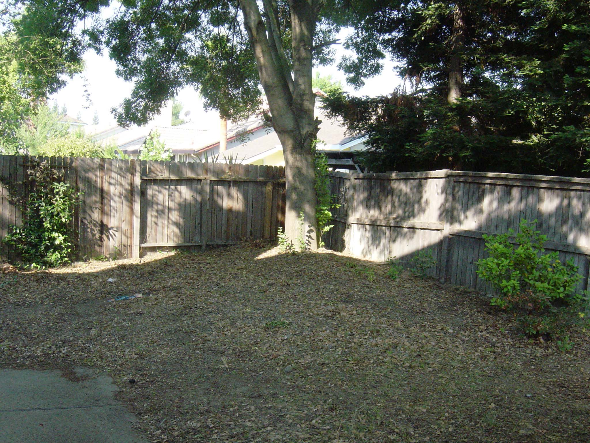 backyard_01_before
